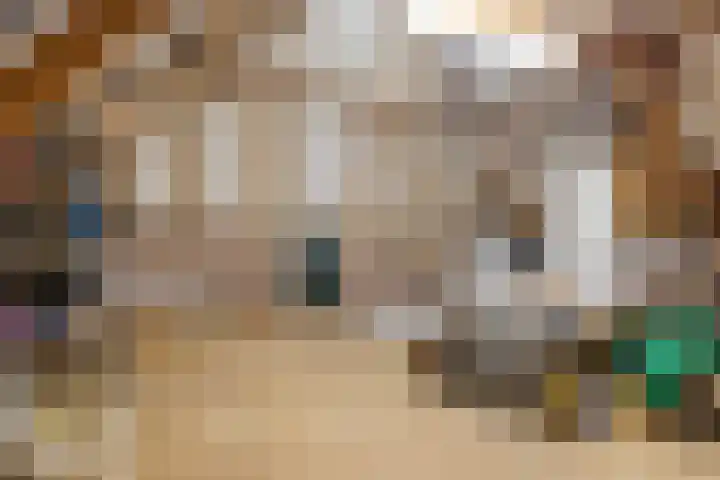 Eind 2 Son en Breugel thumbnail 44