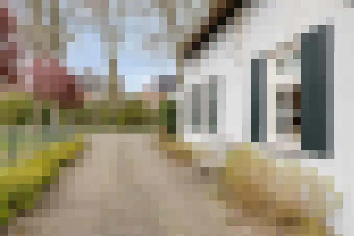 Eind 2 Son en Breugel thumbnail 46