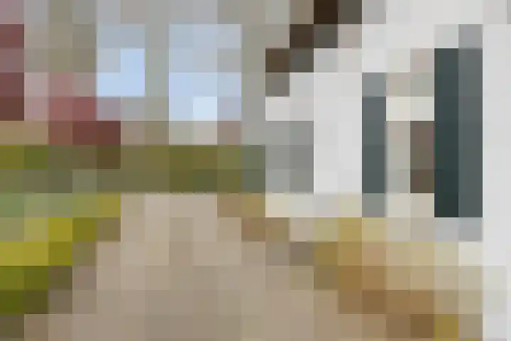 Eind 2 Son en Breugel thumbnail 46