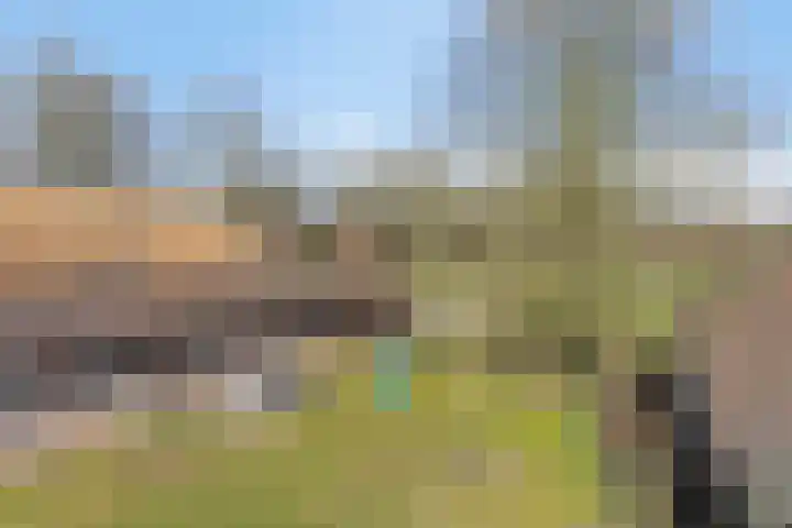 Eind 2 Son en Breugel thumbnail 49