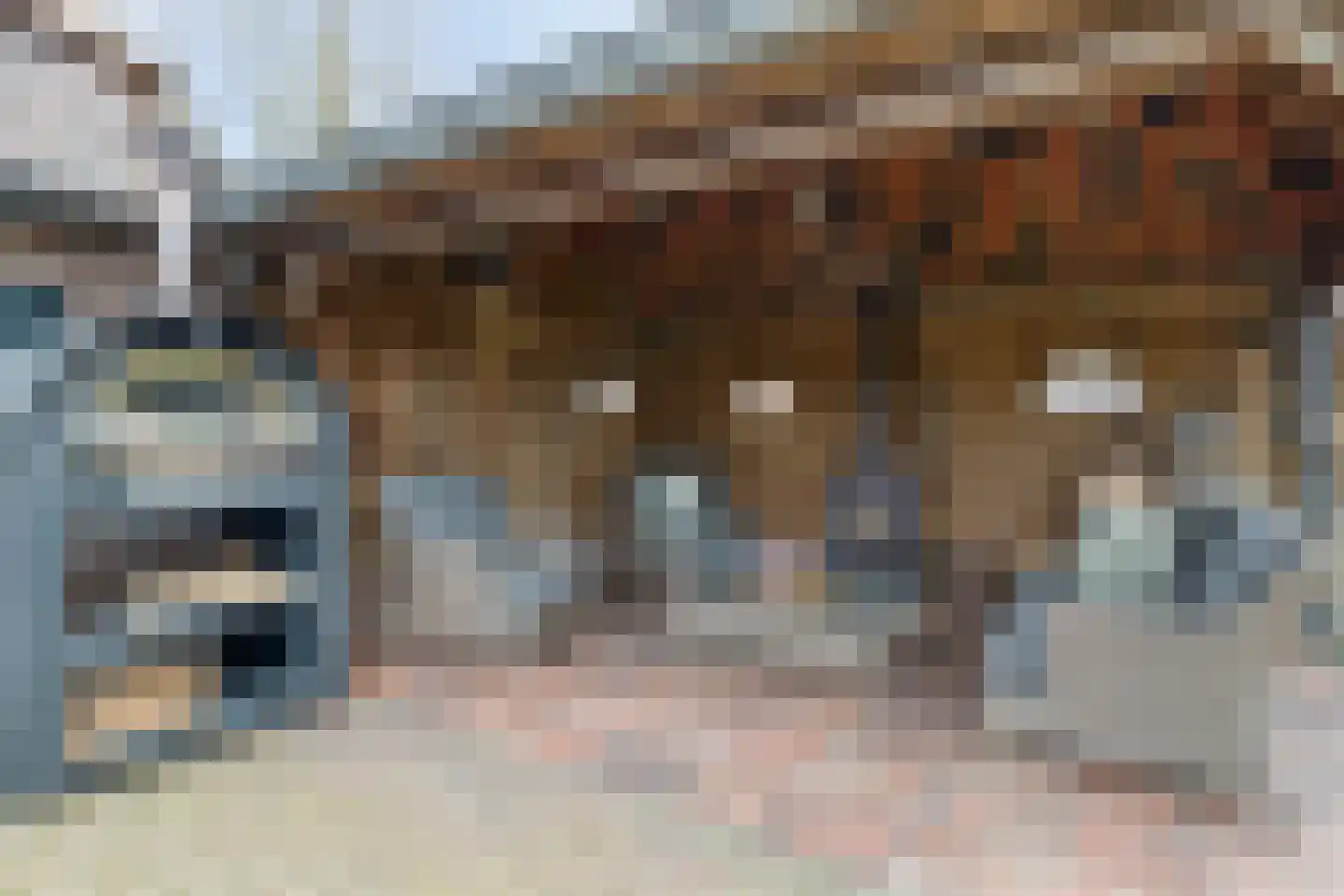 Eind 2 Son en Breugel thumbnail 52