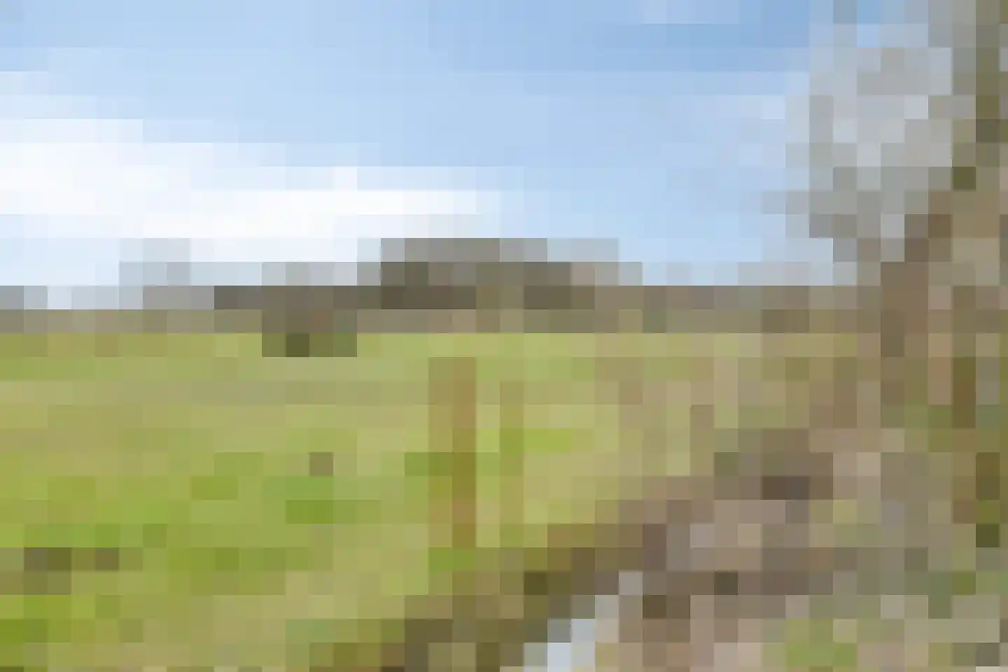 Eind 2 Son en Breugel thumbnail 53