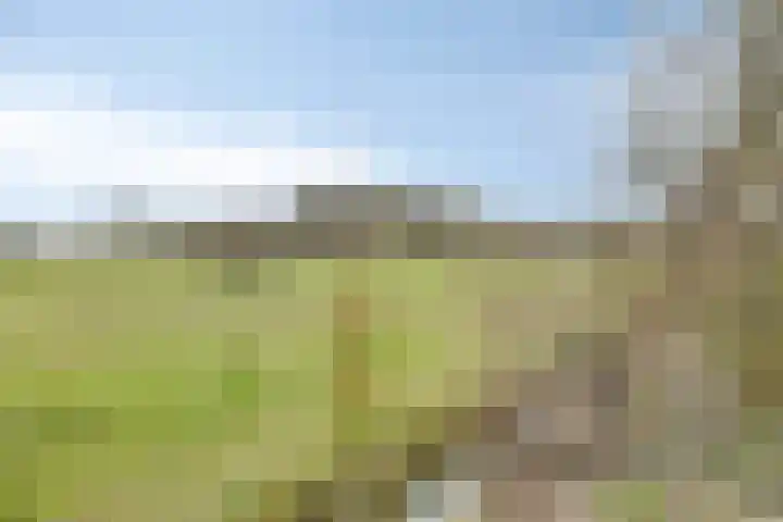 Eind 2 Son en Breugel thumbnail 53