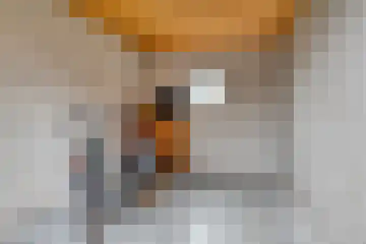 Eind 2 Son en Breugel thumbnail 58