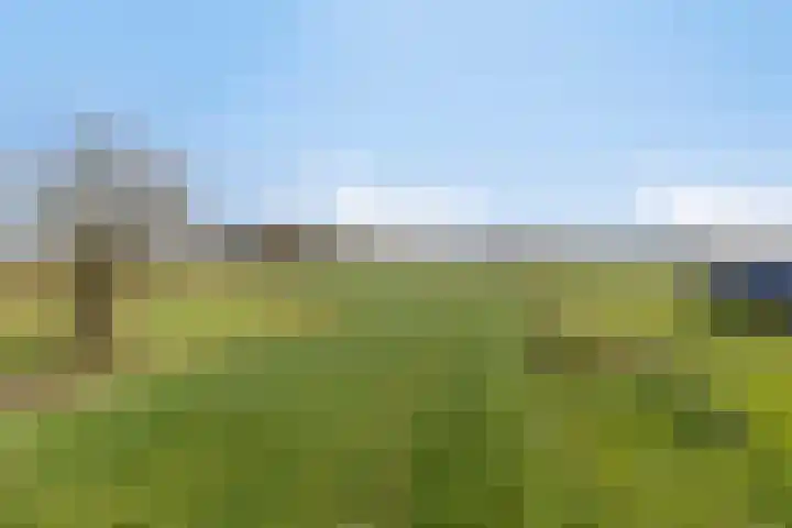 Eind 2 Son en Breugel thumbnail 59