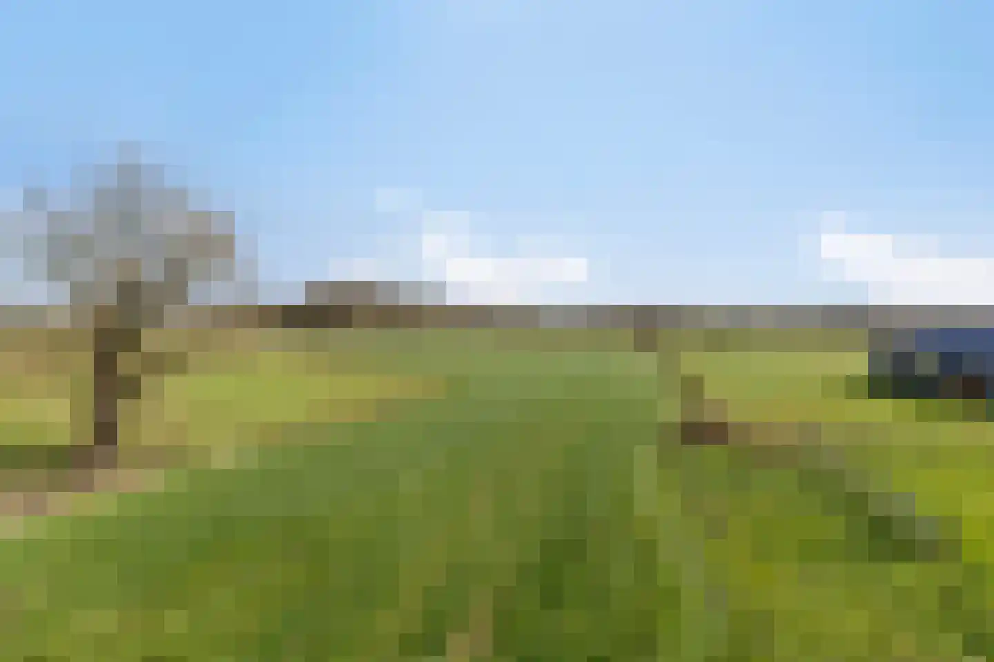 Eind 2 Son en Breugel thumbnail 59