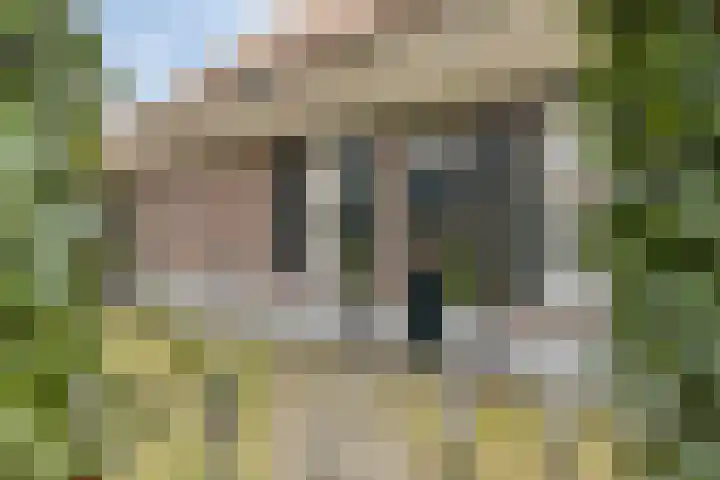 Eind 2 Son en Breugel thumbnail 6