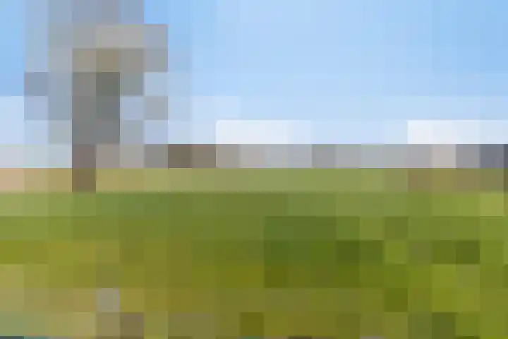 Eind 2 Son en Breugel thumbnail 60