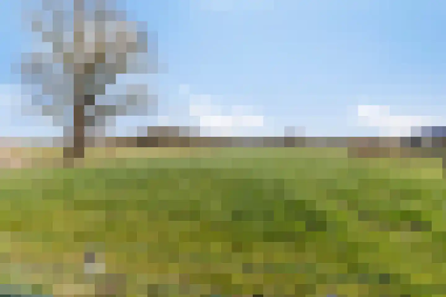 Eind 2 Son en Breugel thumbnail 60