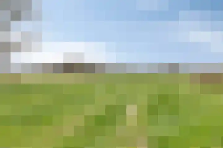 Eind 2 Son en Breugel thumbnail 61