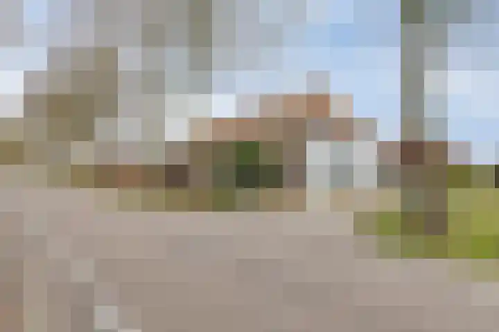 Eind 2 Son en Breugel thumbnail 62