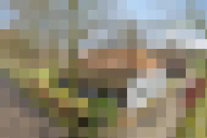 Eind 2 Son en Breugel thumbnail 64