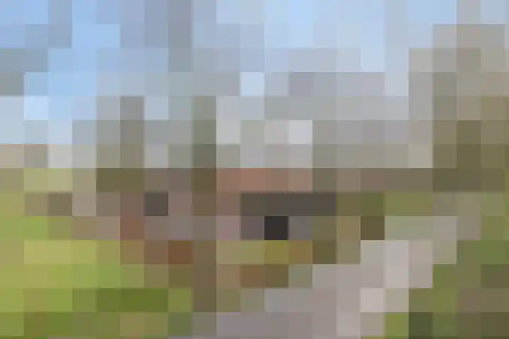 Eind 2 Son en Breugel thumbnail 67
