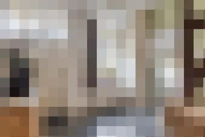 Eind 2 Son en Breugel thumbnail 7