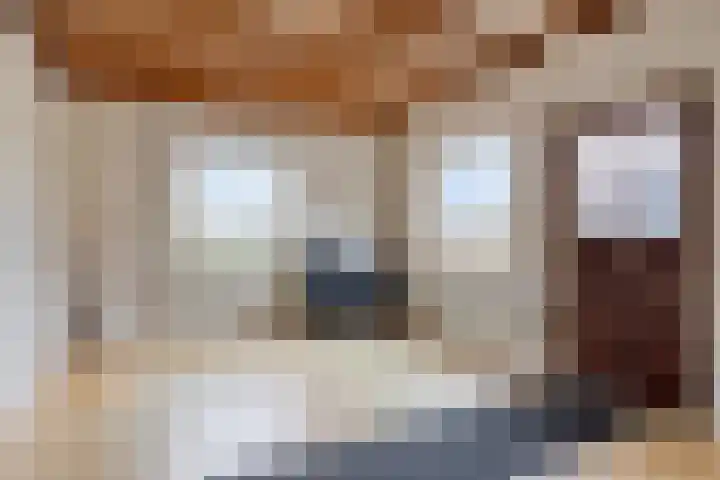 Eind 2 Son en Breugel thumbnail 72