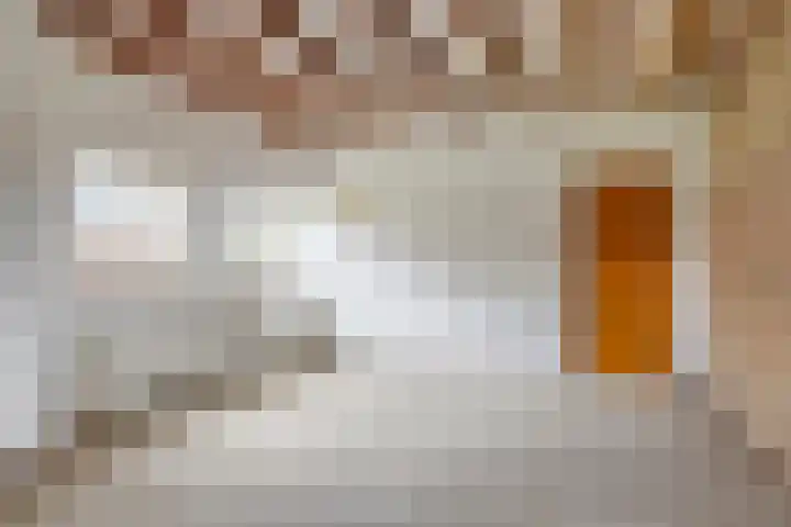 Eind 2 Son en Breugel thumbnail 73