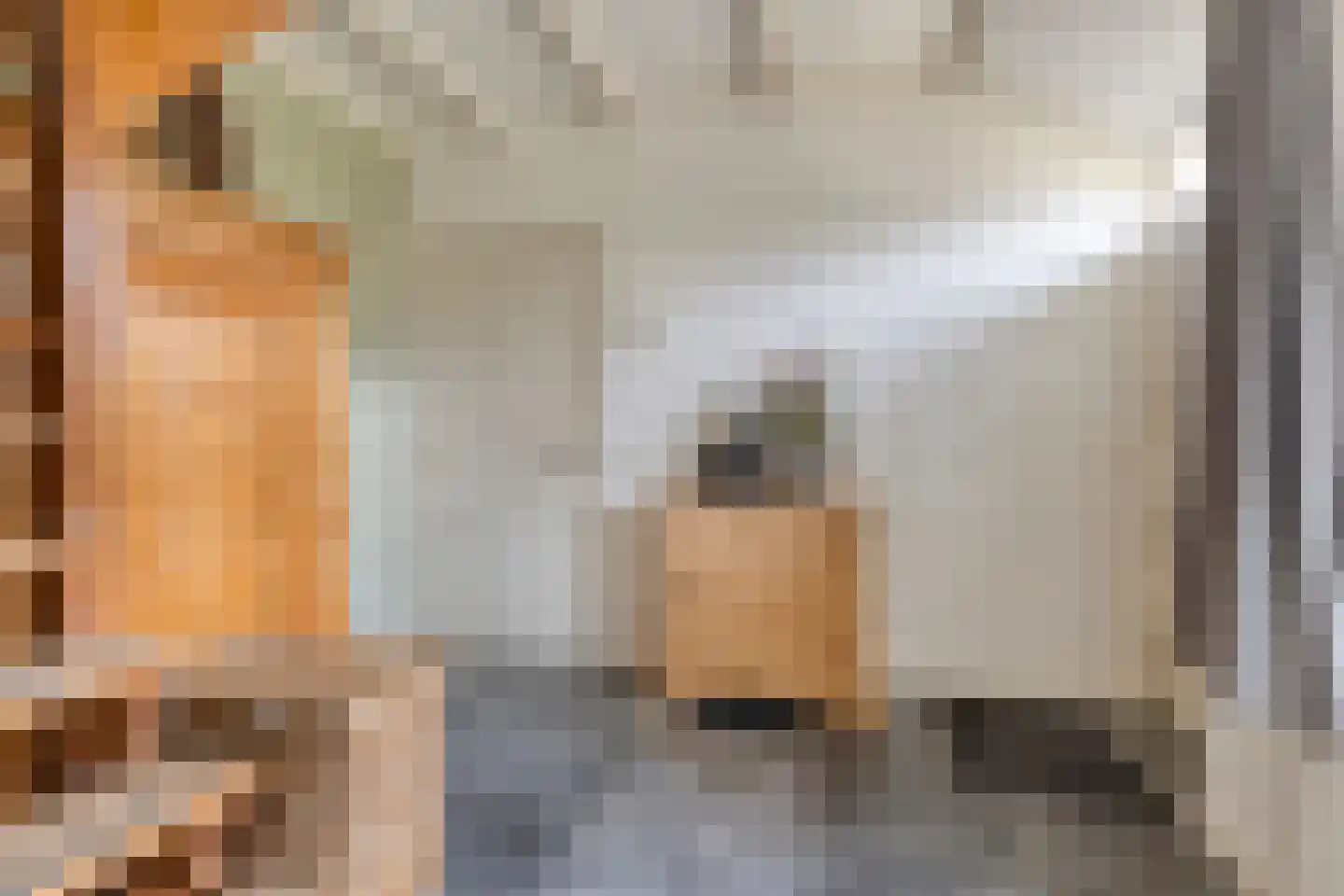 Eind 2 Son en Breugel thumbnail 8