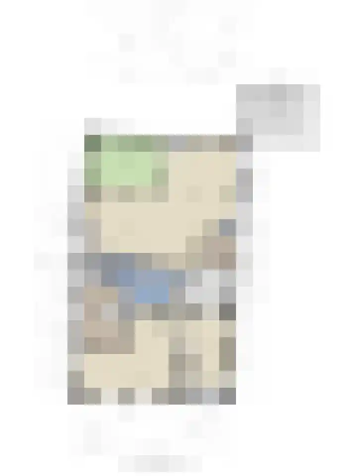 Eind 2 Son en Breugel thumbnail 82