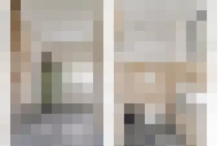 Eind 2 Son en Breugel thumbnail 9