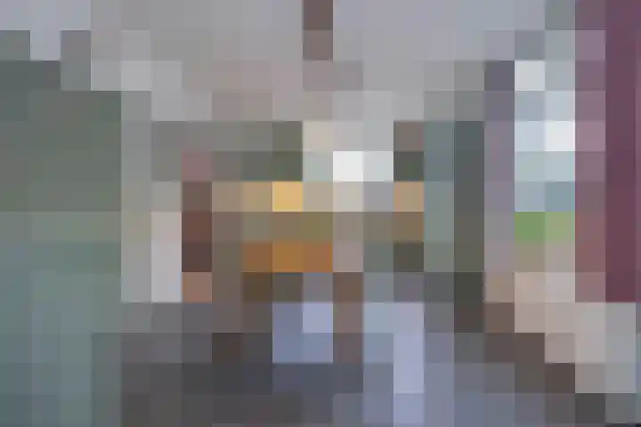 Eind 6 Haaren thumbnail 12