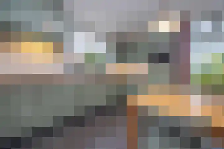 Eind 6 Haaren thumbnail 13