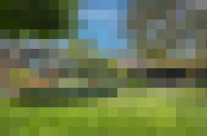 Eind 6 Haaren thumbnail 34