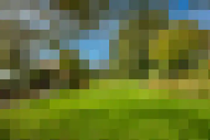 Eind 6 Haaren thumbnail 35