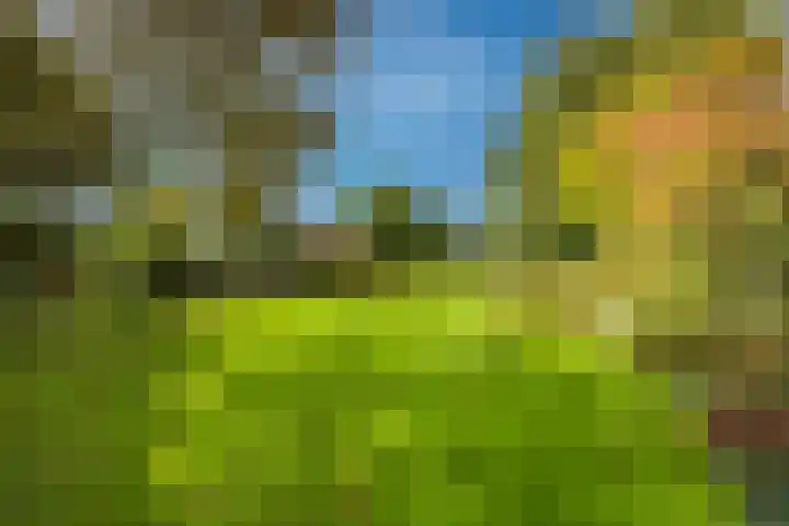 Eind 6 Haaren thumbnail 36