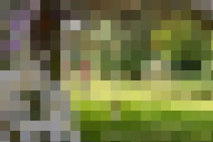 Eind 6 Haaren thumbnail 37