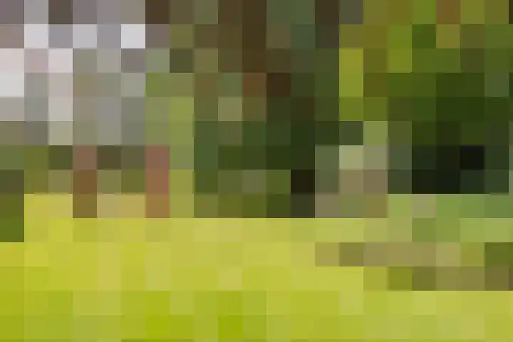 Eind 6 Haaren thumbnail 38