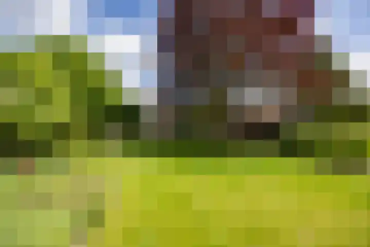 Eind 6 Haaren thumbnail 39