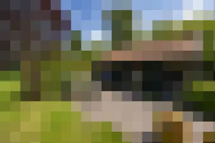 Eind 6 Haaren thumbnail 41