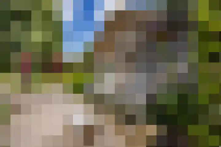 Eind 6 Haaren thumbnail 42