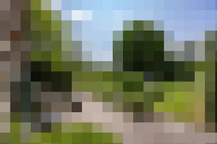 Eind 6 Haaren thumbnail 43