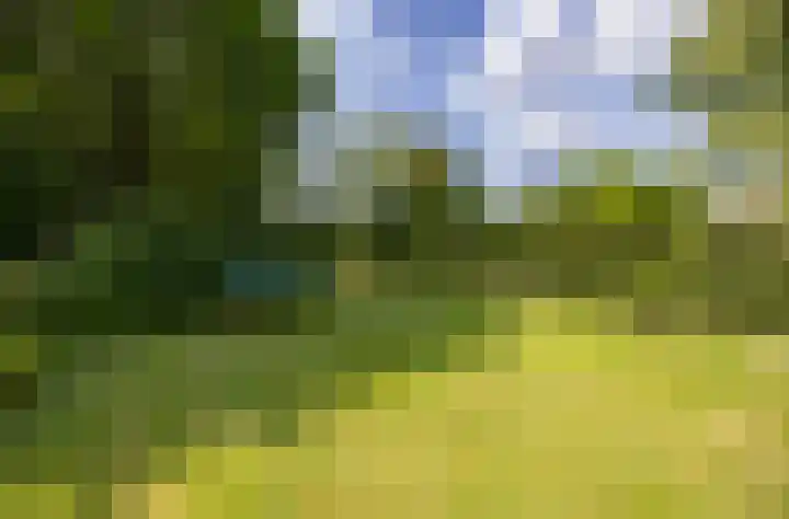 Eind 6 Haaren thumbnail 44