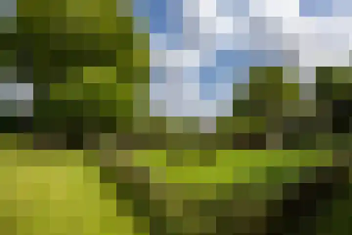 Eind 6 Haaren thumbnail 46