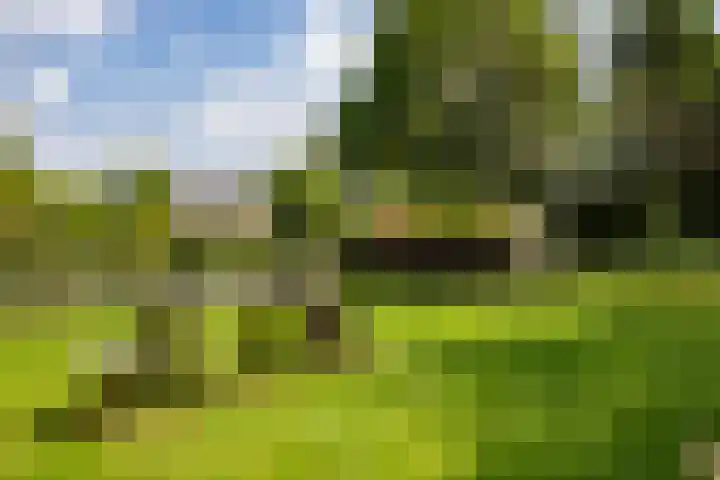 Eind 6 Haaren thumbnail 47
