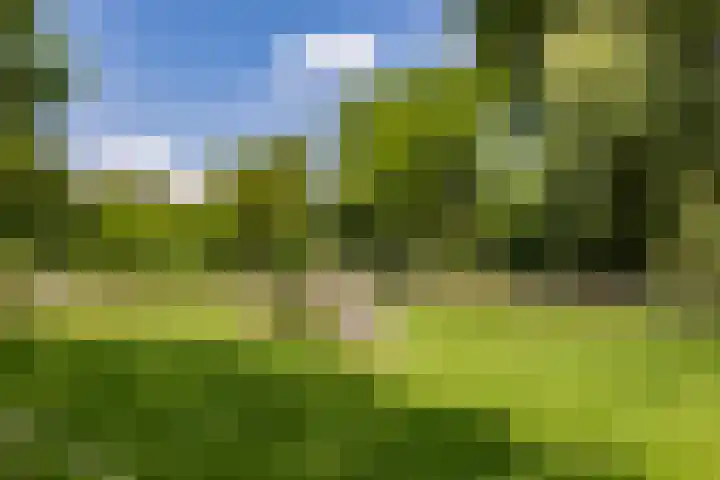 Eind 6 Haaren thumbnail 48