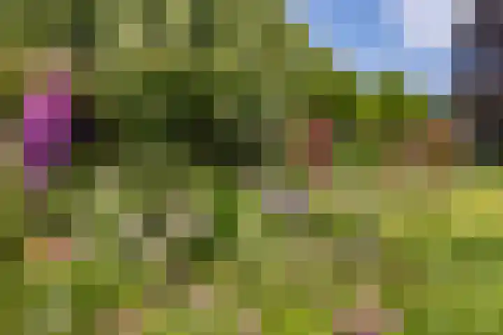 Eind 6 Haaren thumbnail 49