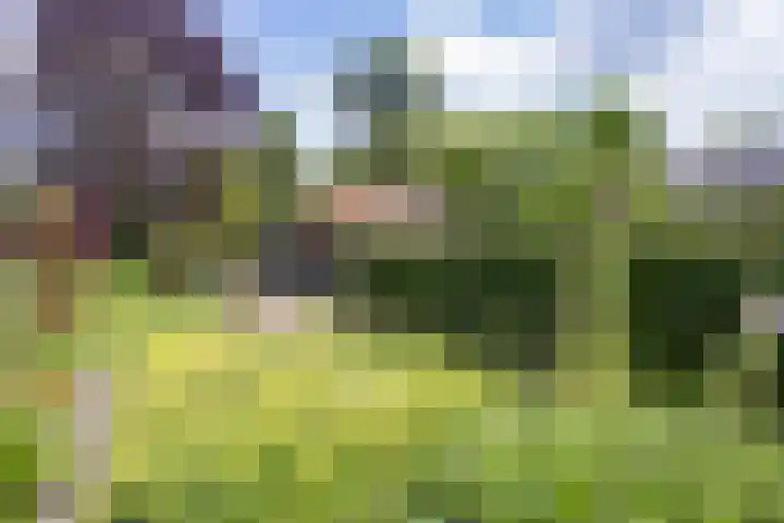 Eind 6 Haaren thumbnail 50