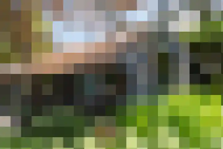 Eind 6 Haaren thumbnail 51