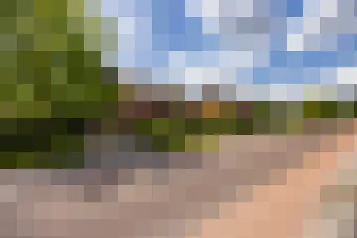 Eind 6 Haaren thumbnail 53