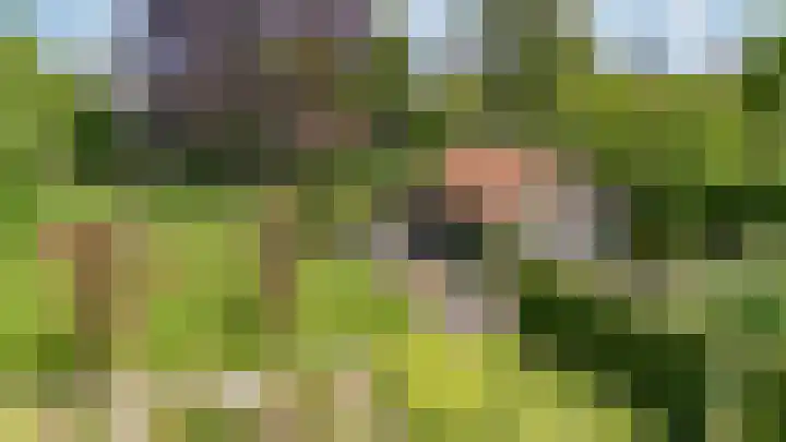 Eind 6 Haaren thumbnail 6