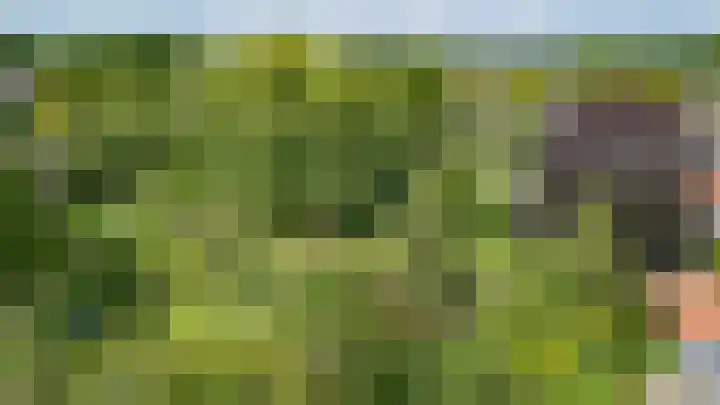 Eind 6 Haaren thumbnail 7