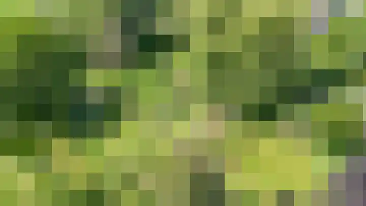 Eind 6 Haaren thumbnail 8