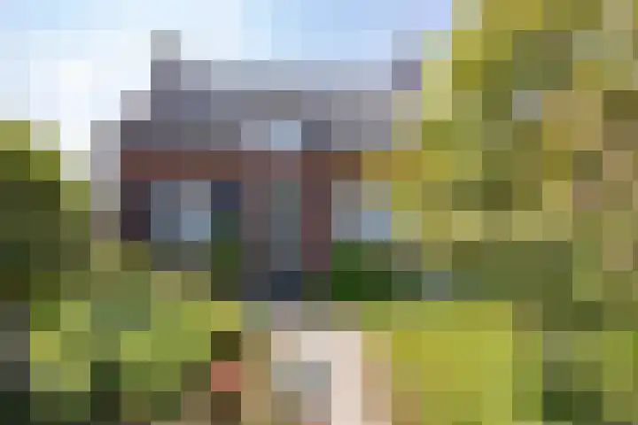 Eind 6 Haaren thumbnail 9