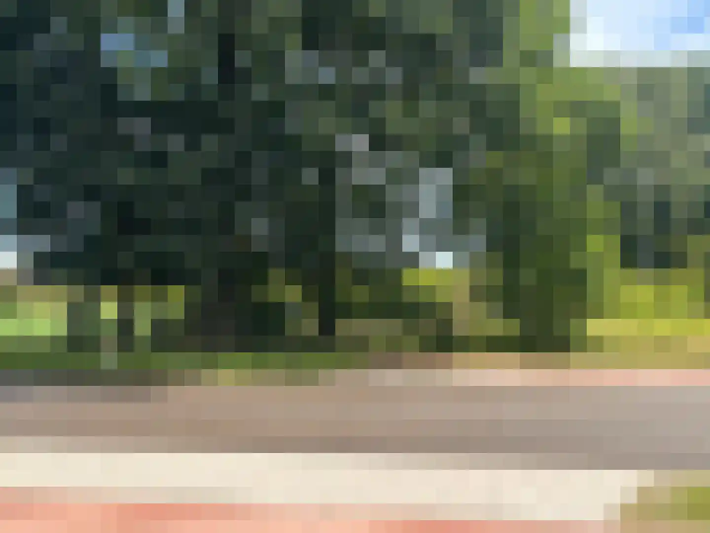 Eind 77 Nederweert-Eind thumbnail 25