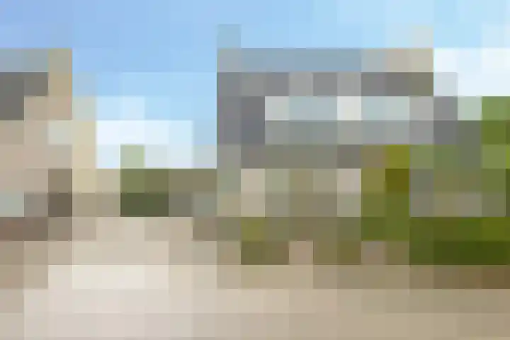 Eindakkers 4 Dodewaard