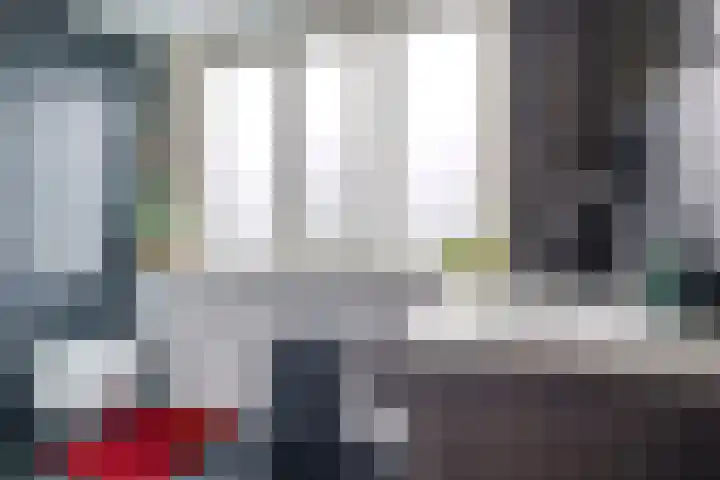 Eindakkers 4 Dodewaard thumbnail 5