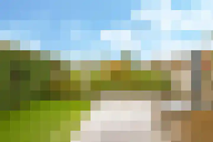 Eindakkers 4 Dodewaard thumbnail 60